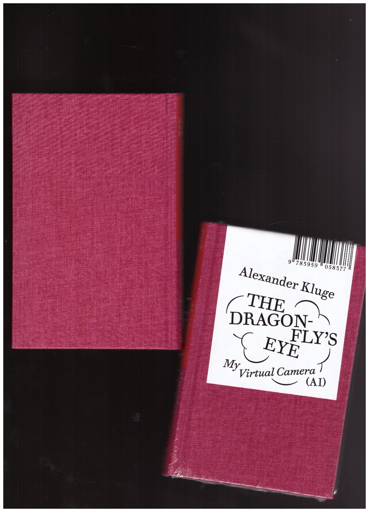 KLUGE, Alexander - The Dragonfly’s Eye - My Virtual Camera (AI)